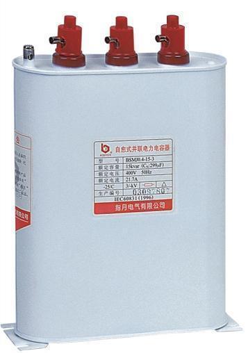 電容器保護(hù)裝置 電容器保護(hù)裝置